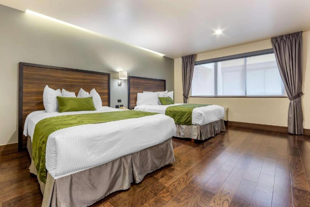 Quality Inn Chihuahua San Francisco Szoba fotó